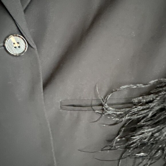 WAYF Jordan Shane Blazer Womens L Black Long Ostrich Feathers Button Oversized - Picture 5 of 9